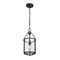 Z-Lite Barrington Pendant, 1-Light, 8.25 In.W x 17.5 In.H, Matte Black/Clear Waterglass 346P8-MB - alternate 6